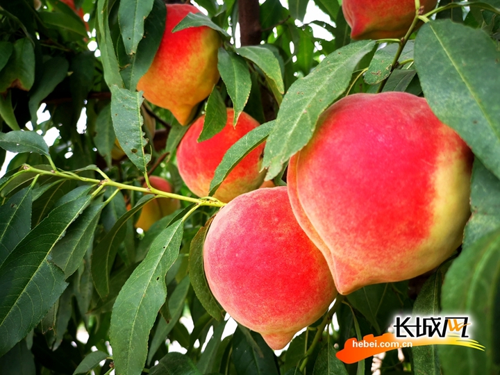 国产在线精品一区二区不卡顿 线精我非常乐意为你提供帮助