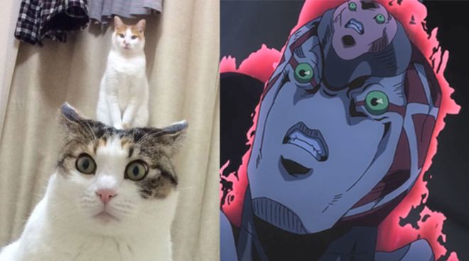 和年轻岳母的那些年 我还没有学会回答这个问题