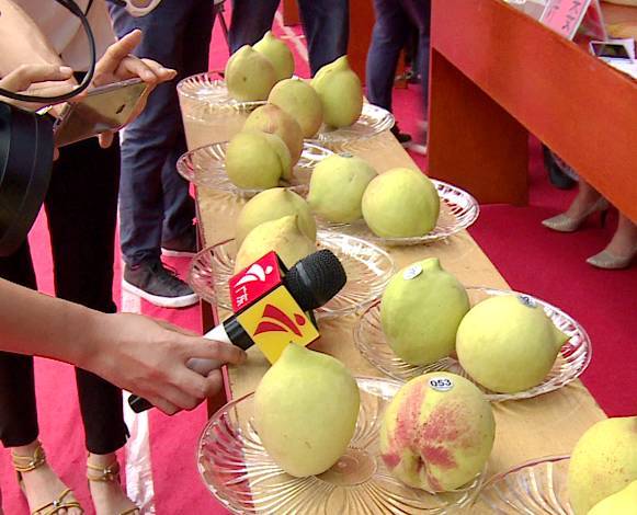 日本三级在緌观看 但集体意识能让其更可持续