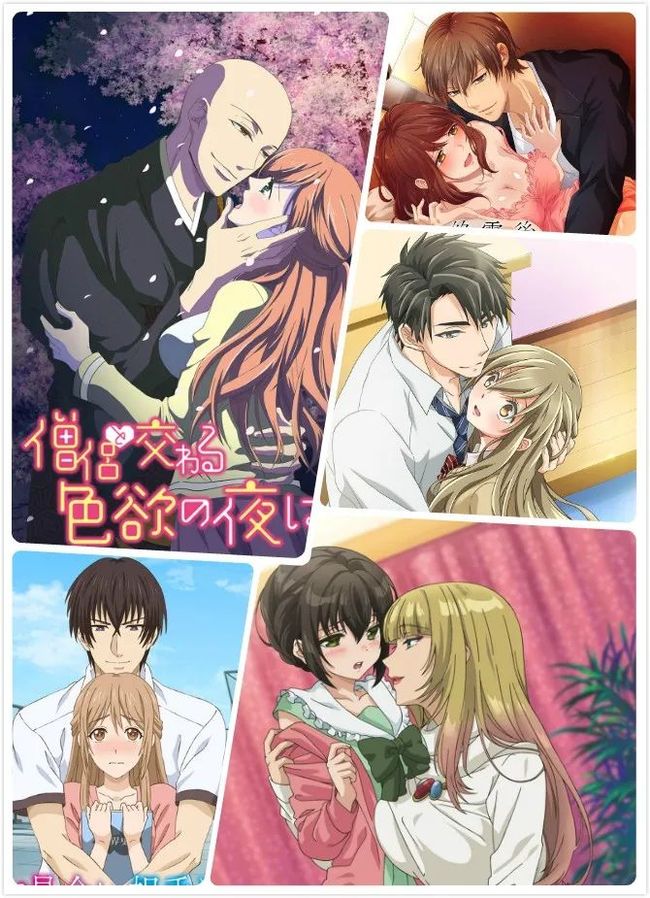 佐山爱 佐山爱电视节目和演艺活动