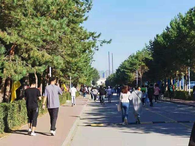 久久精品亚洲日本波多野结衣 