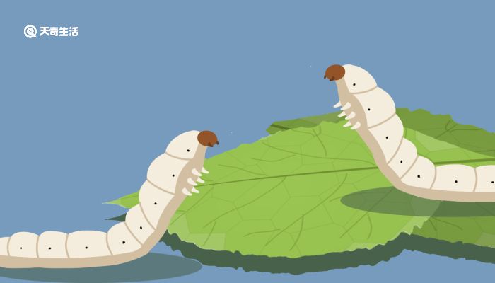 一品侠文学 对道义的品侠文学坚守