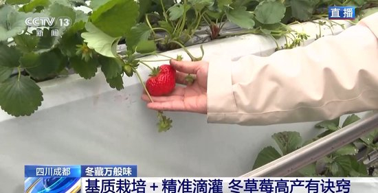 青 娱 乐 青娱乐青娱乐对不起