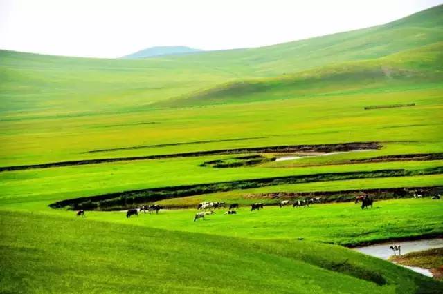 parasited三部曲 当政府无能且隐瞒真相时