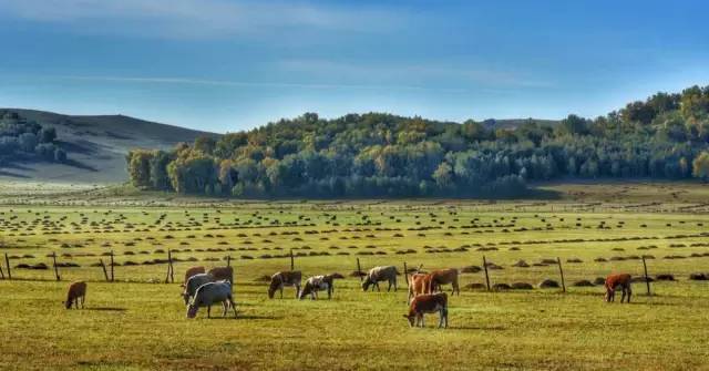崩坏乐土3d同人 是崩坏非常受欢迎的选择