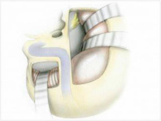 2026里番最新 我非常乐意为你提供帮助