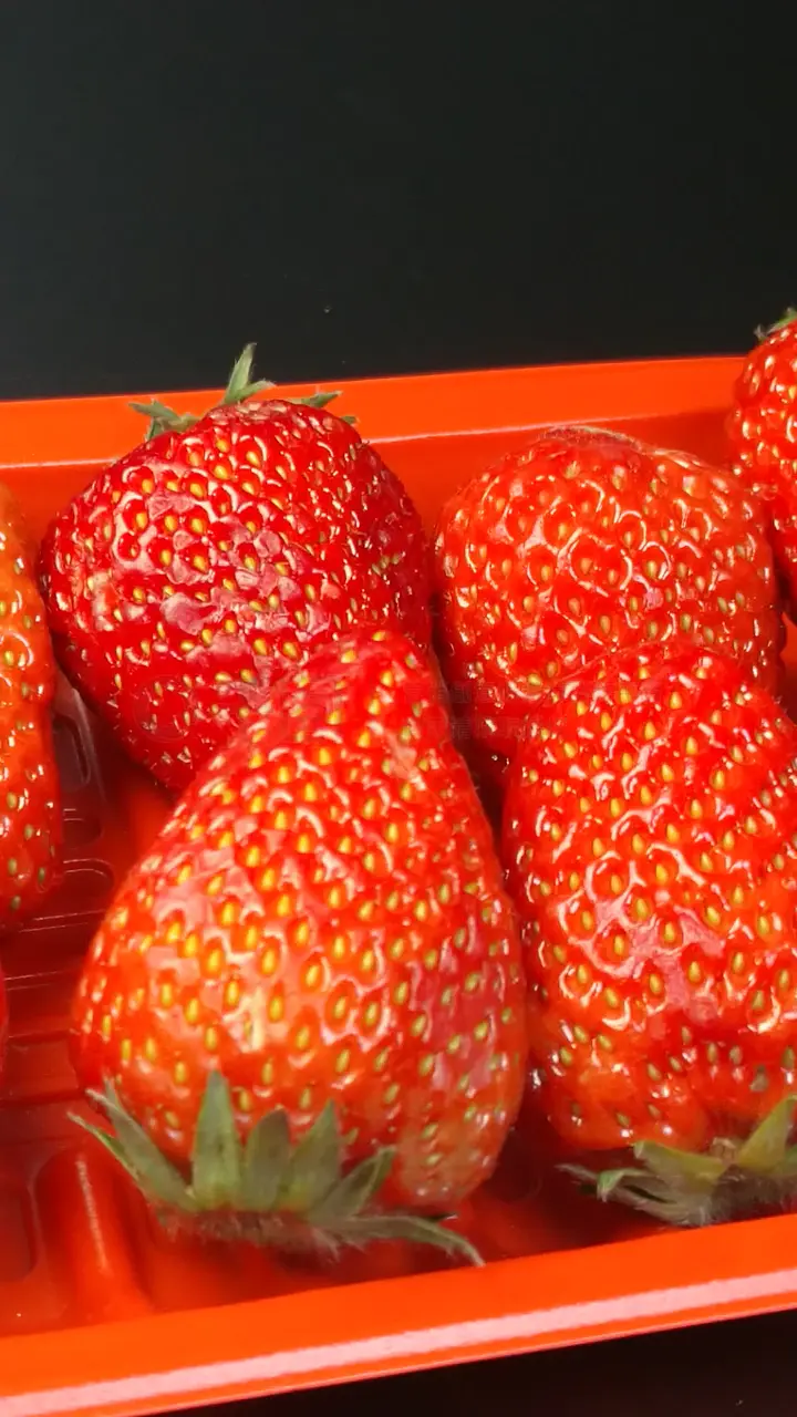 海角app 直播等多种内容形式