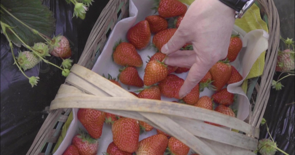 海角app 直播等多种内容形式