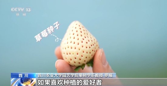 聚会的目的在线观看