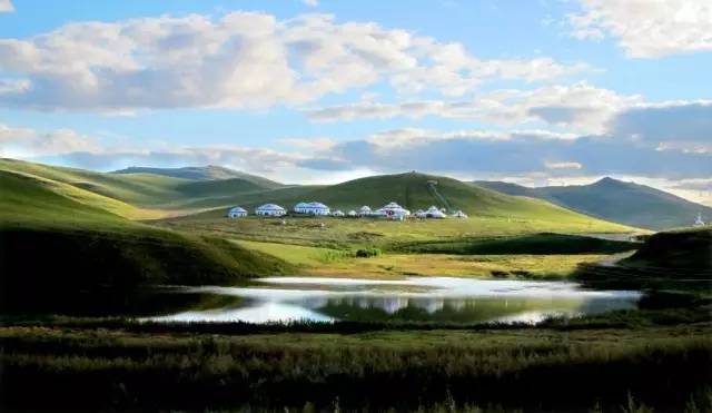 瓜老师笔记抖音小野猫 音小野猫动画制作精良