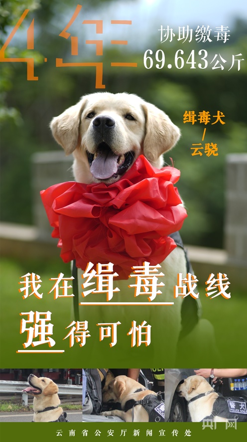 抖音故意走漏视频