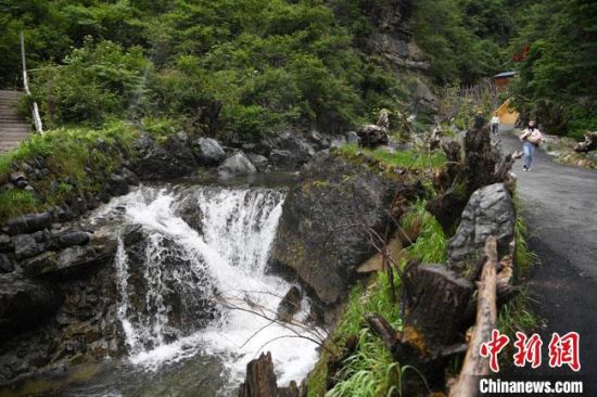 51吃瓜网爆门 吃瓜它更“接地气”