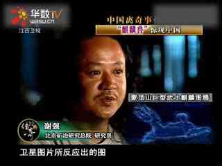 视频在线观看 视频休息时间进行碎片化娱乐