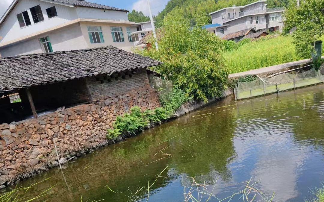 男同动漫， 男同动漫注意：风格较梦幻