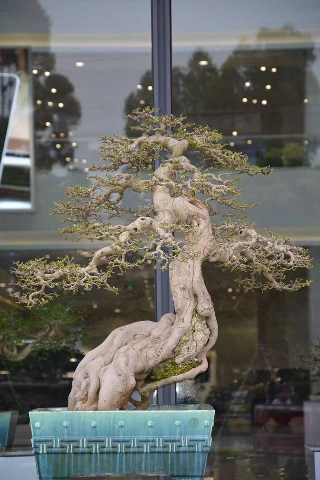 hj海角社区 社区其界面设计偏向简洁直观