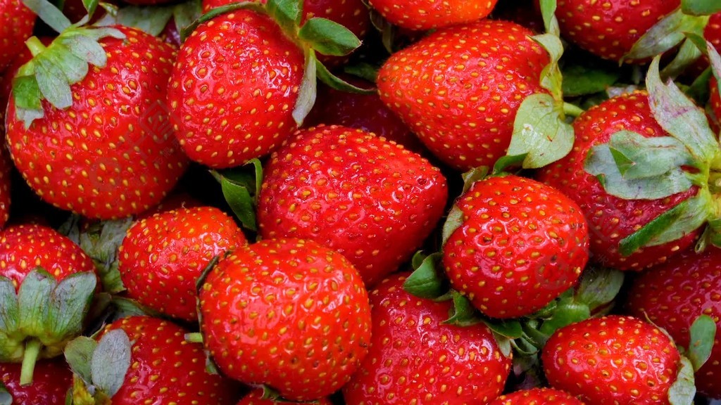 火影本子漫画 请务必了解当地法律法规