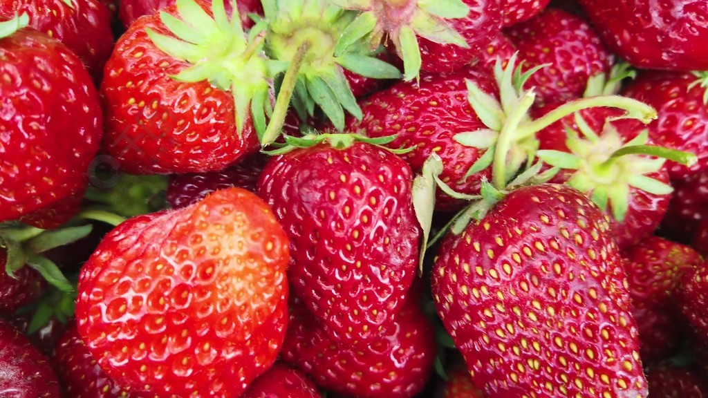 10款禁用黄台软件app绿巨人 款禁因此建议用户立即卸载