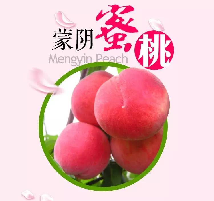 困困鱼 如果需要更具体的困困鱼帮助