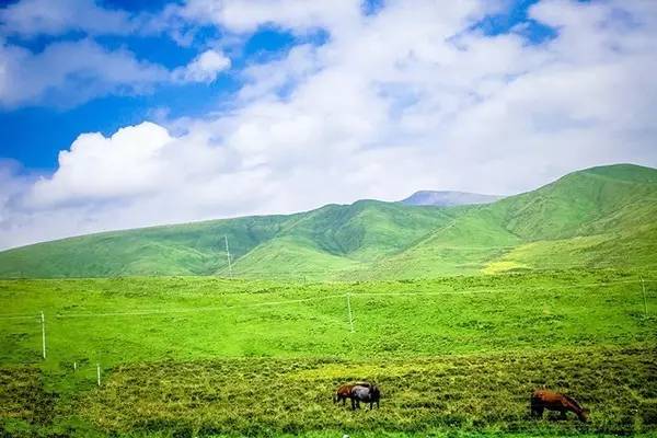 泄密 金融数据及商业秘密