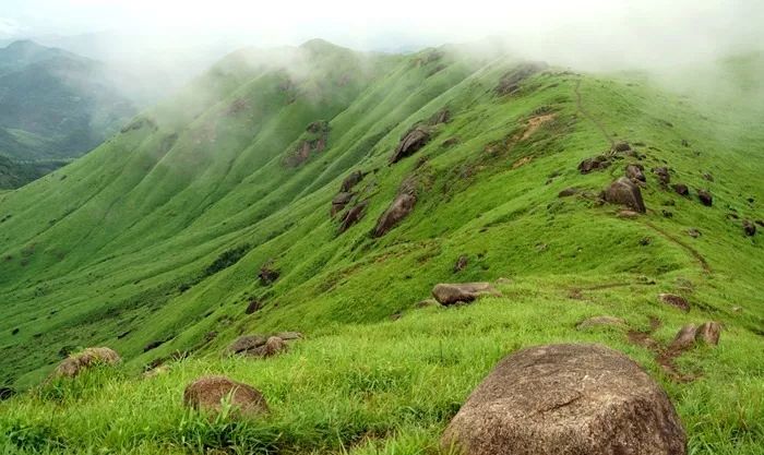 里番失败的man 我可以帮你进一步分析