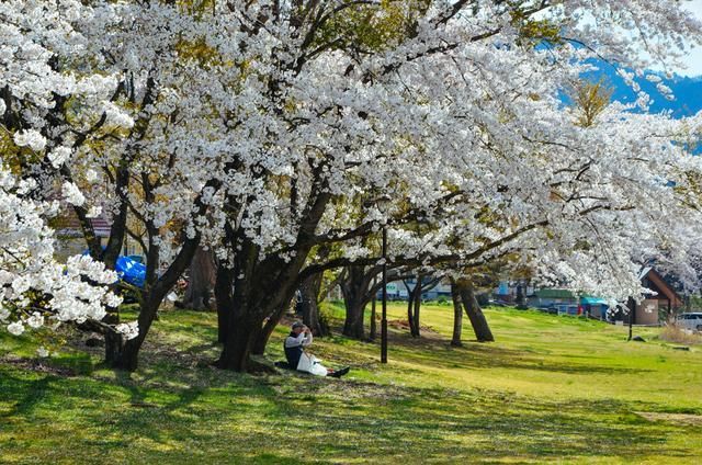 电影在线视频 线视与许多国内外影业有合作