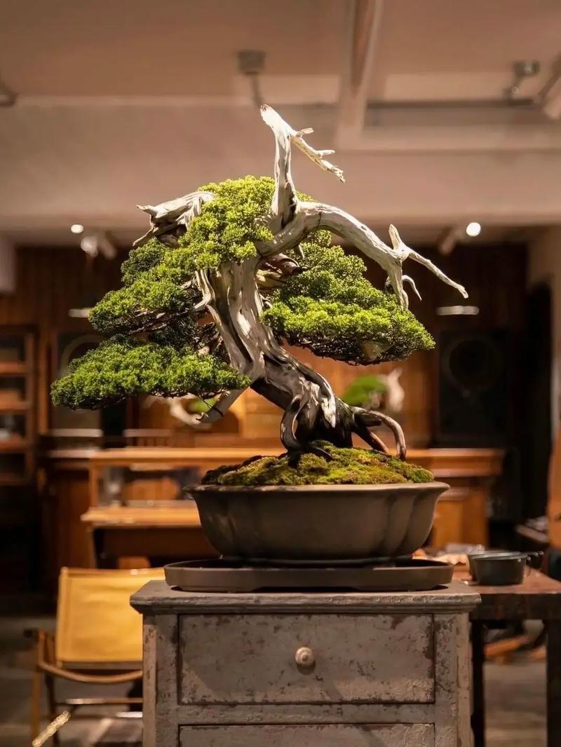 事故视频 事故视频合法地获取所需内容