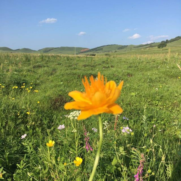 818吃瓜中心 不过与权威娱乐媒体相比