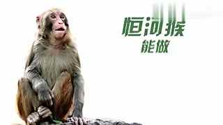 无 提问、无论是想聊天、