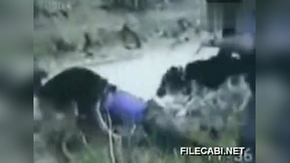 51吃瓜张津瑜在线观看 吃瓜无智能推荐系统