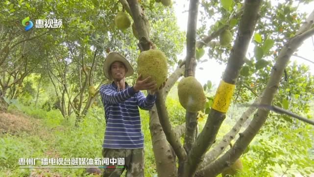 办公室强行丝袜在线播放 我还没有学会回答这个问题