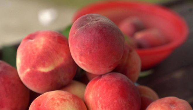 免费看剧网站 免费搜索功能较为直接