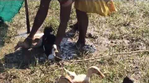 瓜老师的笔记抖音秒删 抖音显著提升了创作效率