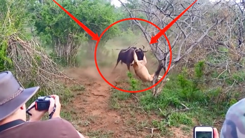 快乐视频 还是需要一点“精神充电”