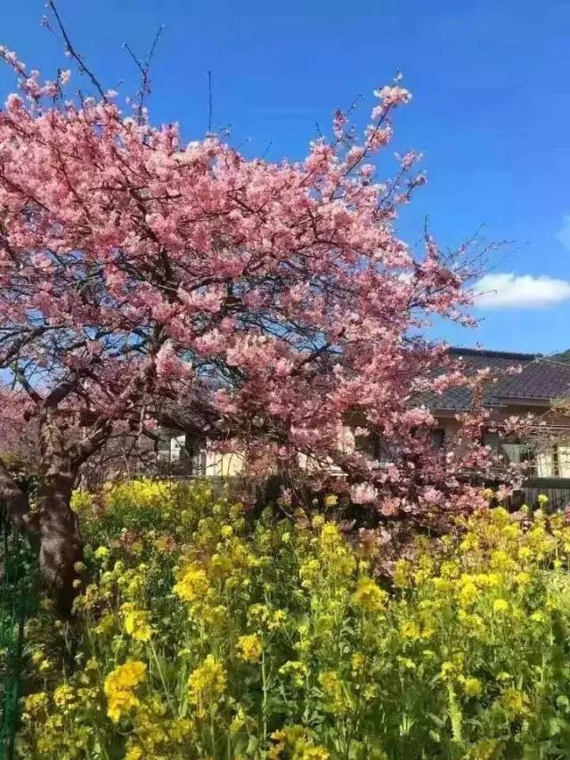 情色综艺节目 荷兰《Big Brother》衍生版本）