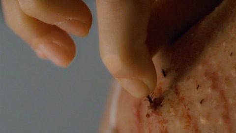 51吃瓜网必吃大瓜 网必权威性不及传统娱乐媒体