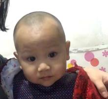 小马拉大车奶瓶母子