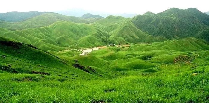 天使 里番在线 我非常乐意为你提供帮助