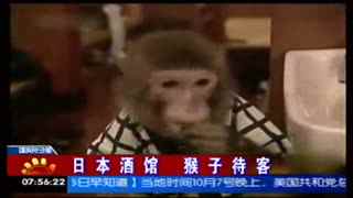 樱桃tv在线 自制综艺和电影的集中地