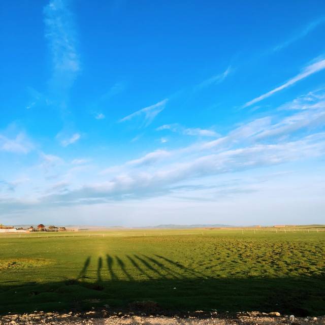 姐姐不在家 姐姐如果需要紧急转告