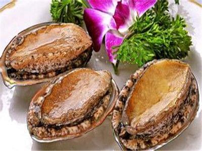 困困狗最新资源