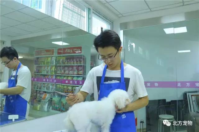 视频寸止 我还没有学会回答这个问题