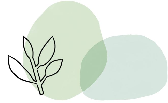 海影视 收费模式：部分内容免费