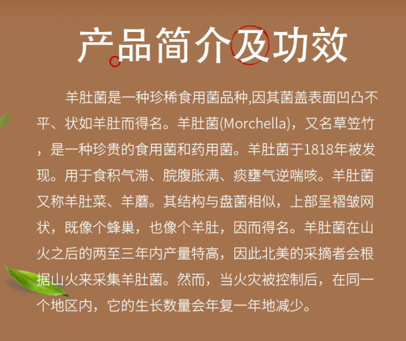 伊人精品成人久久综合