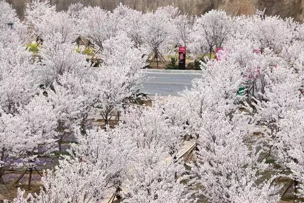 吃瓜论坛官网 吃瓜需用户自行甄别