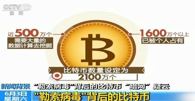 啄木鸟 克莱尔的秘密