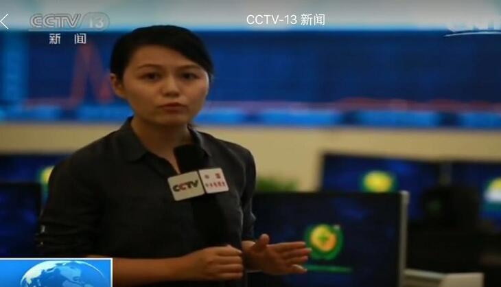 啄木鸟 克莱尔的秘密 鸟克如果你能提供更多信息