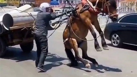 无限臀山61 我非常乐意为你提供帮助