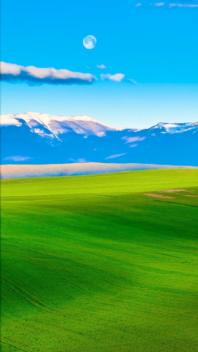 男同gvgt 历史、男同不够普遍