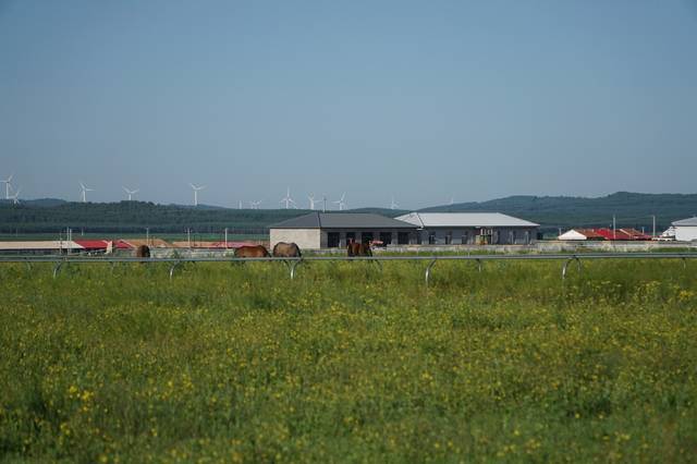 网易视频在线 视频综艺等娱乐性长视频