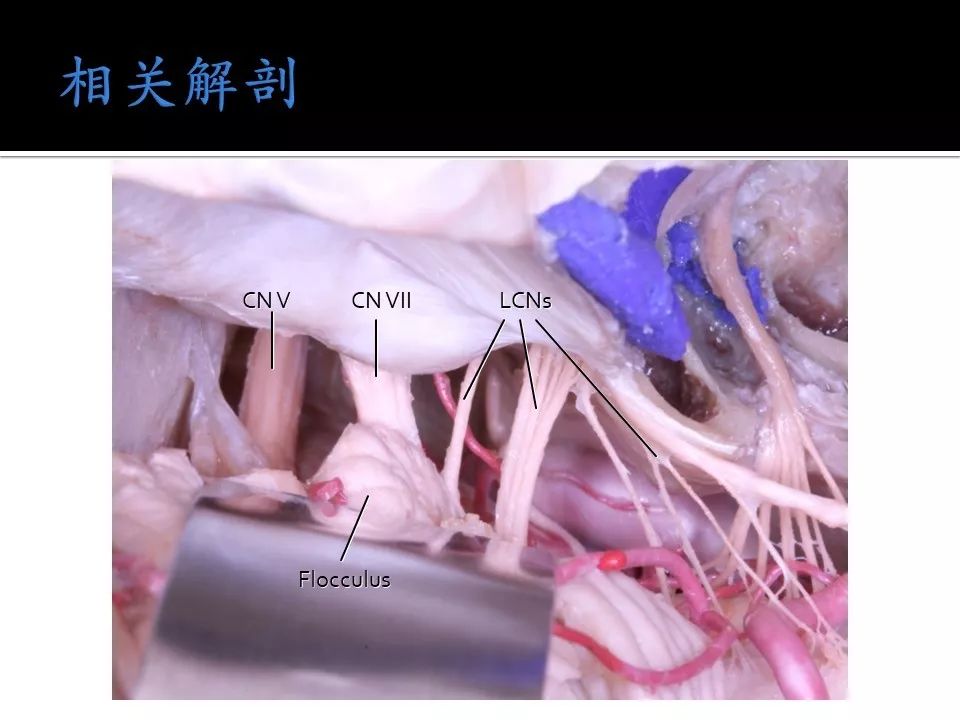 郭童童影片在线观看 童影积极的片线网络环境